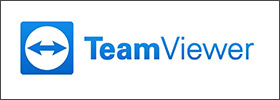 Team Viewer für Windows 10/11